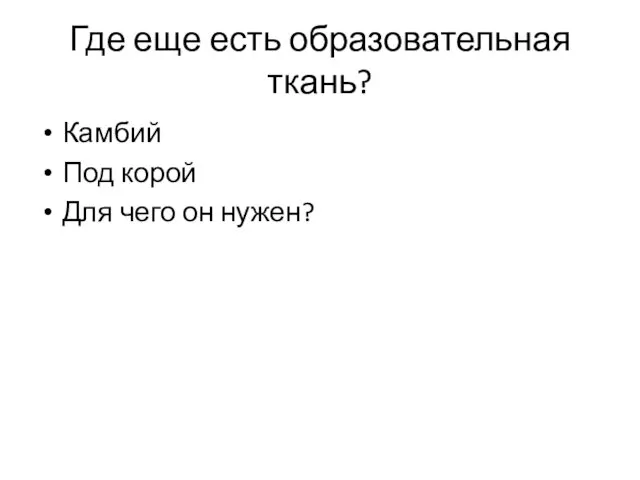 Где еще есть образовательная ткань? Камбий Под корой Для чего он нужен?