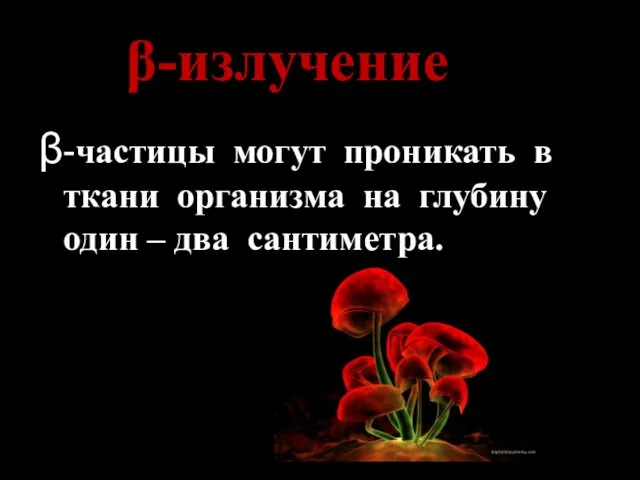 β-излучение β-частицы могут проникать в ткани организма на глубину один – два сантиметра.