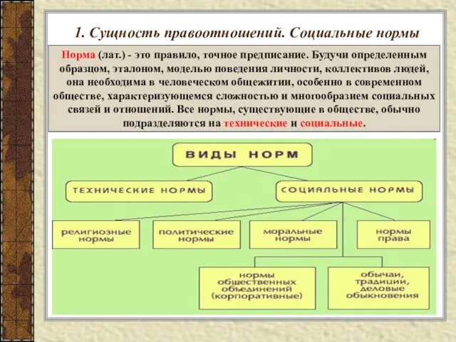 1. Сущность правоотношений. Социальные нормы Норма (лат.) - это правило, точное