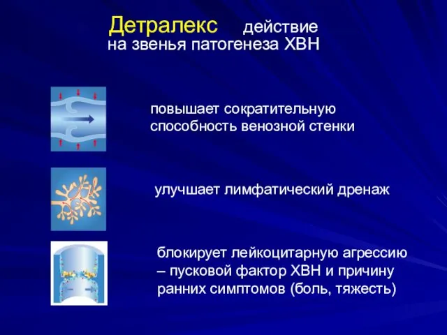 Детралекс:- действие на звенья патогенеза ХВН повышает сократительную способность венозной стенки