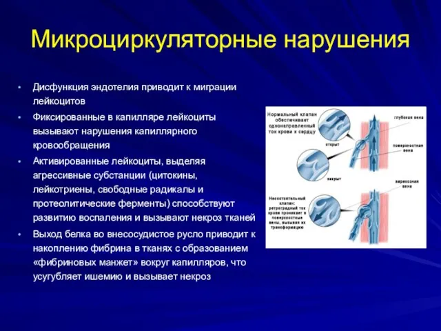 Микроциркуляторные нарушения Дисфункция эндотелия приводит к миграции лейкоцитов Фиксированные в капилляре