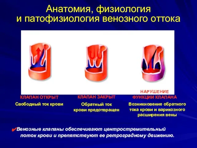 КЛАПАН ОТКРЫТ КЛАПАН ЗАКРЫТ НАРУШЕНИЕ ФУНКЦИИ КЛАПАНА Свободный ток крови Обратный