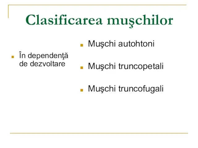 Clasificarea muşchilor În dependenţă de dezvoltare Muşchi autohtoni Muşchi truncopetali Muşchi truncofugali