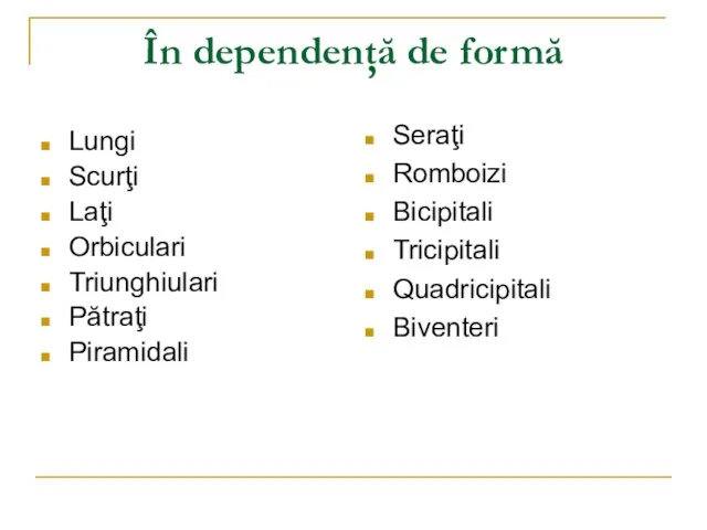 În dependenţă de formă Lungi Scurţi Laţi Orbiculari Triunghiulari Pătraţi Piramidali