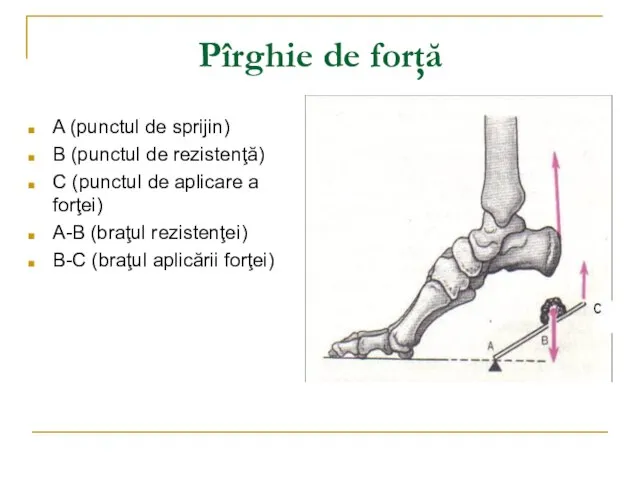 Pîrghie de forţă A (punctul de sprijin) B (punctul de rezistenţă)