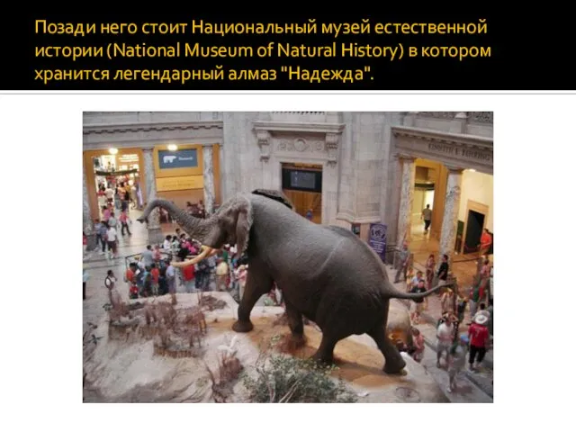 Позади него стоит Национальный музей естественной истории (National Museum of Natural