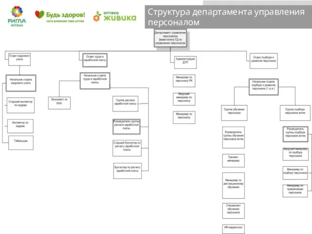 Структура департамента управления персоналом