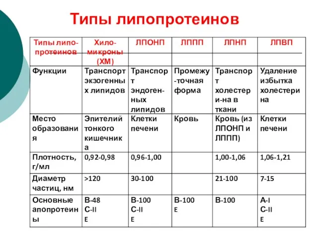 Типы липопротеинов