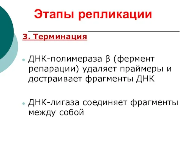 3. Терминация ДНК-полимераза β (фермент репарации) удаляет праймеры и достраивает фрагменты