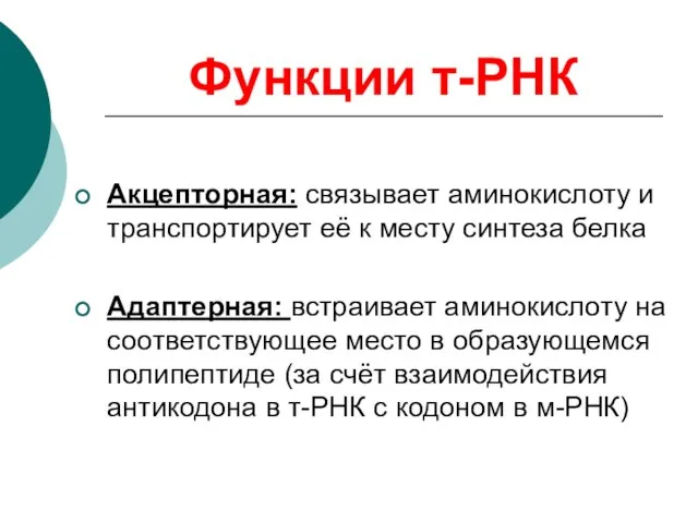 Функции т-РНК Акцепторная: связывает аминокислоту и транспортирует её к месту синтеза