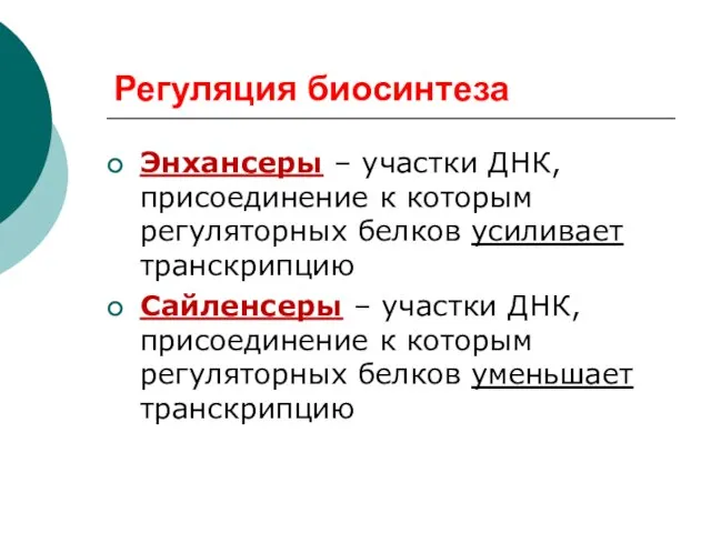 Регуляция биосинтеза Энхансеры – участки ДНК, присоединение к которым регуляторных белков