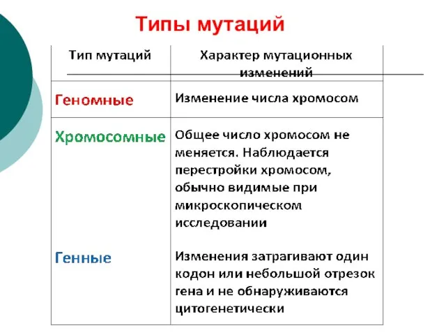 Типы мутаций