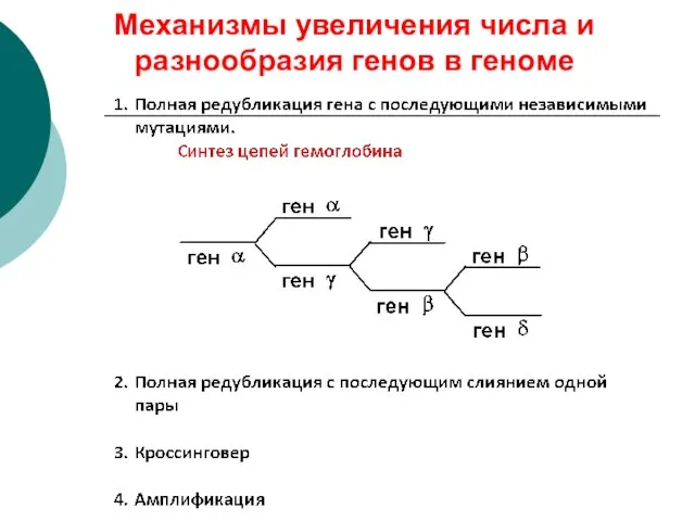 Механизмы увеличения числа и разнообразия генов в геноме