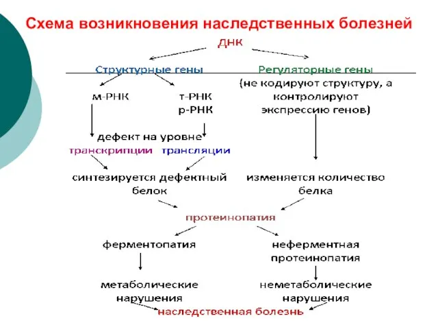 Схема возникновения наследственных болезней