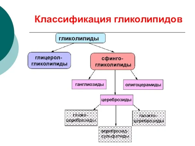 Классификация гликолипидов