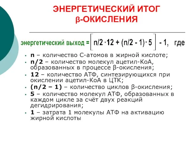 ЭНЕРГЕТИЧЕСКИЙ ИТОГ β-ОКИСЛЕНИЯ n – количество С-атомов в жирной кислоте; n/2