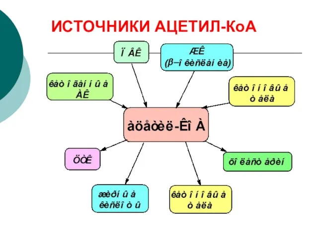 ИСТОЧНИКИ АЦЕТИЛ-КоА