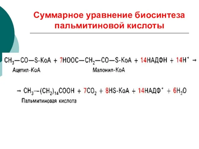 Суммарное уравнение биосинтеза пальмитиновой кислоты