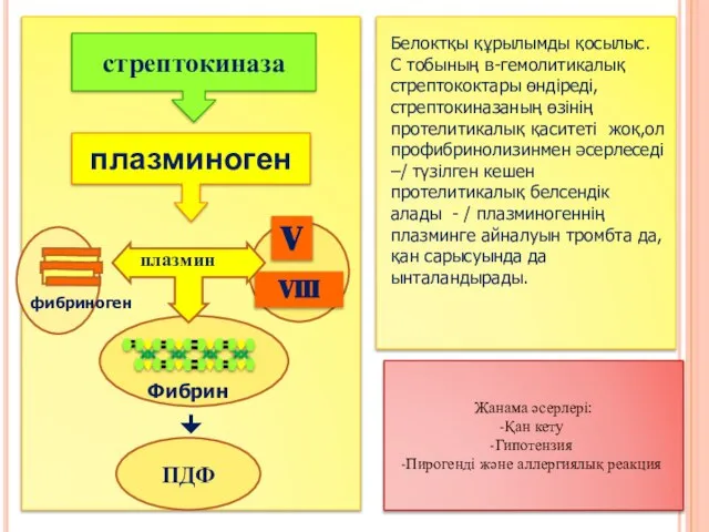 Жанама әсерлері: Қан кету Гипотензия Пирогенді және аллергиялық реакция Белоктқы құрылымды