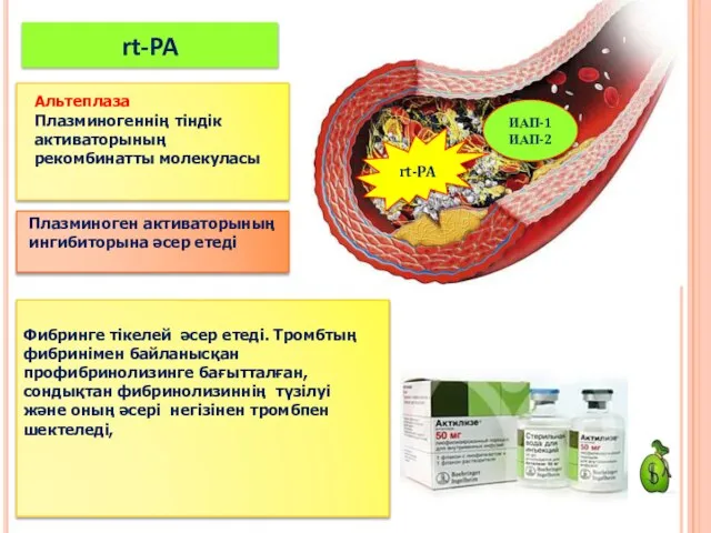 rt-PA ИАП-1 ИАП-2 Альтеплаза Плазминогеннің тіндік активаторының рекомбинатты молекуласы rt-PA Фибринге