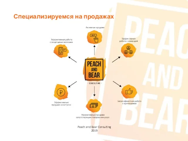 Специализируемся на продажах Peach and Bear Consulting 2019