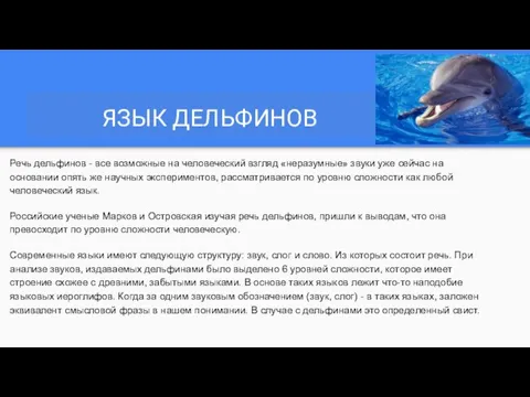 ЯЗЫК ДЕЛЬФИНОВ Речь дельфинов - все возможные на человеческий взгляд «неразумные»