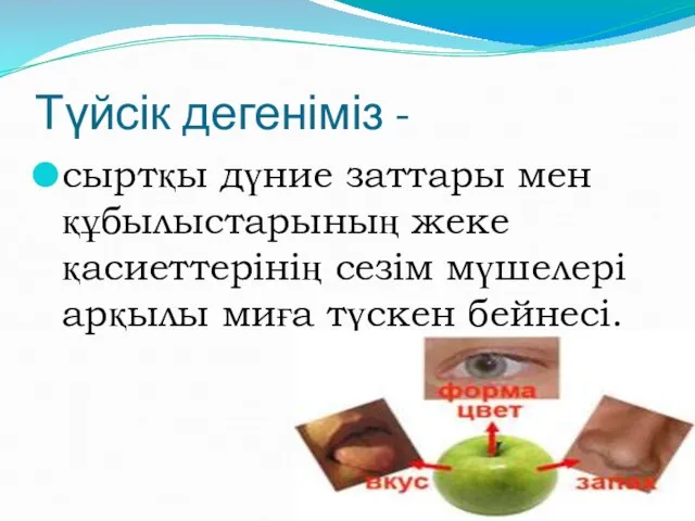 Түйсік дегеніміз - сыртқы дүние заттары мен құбылыстарының жеке қасиеттерінің сезім мүшелері арқылы миға түскен бейнесі.