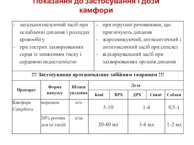 Показання до застосування і дози камфори