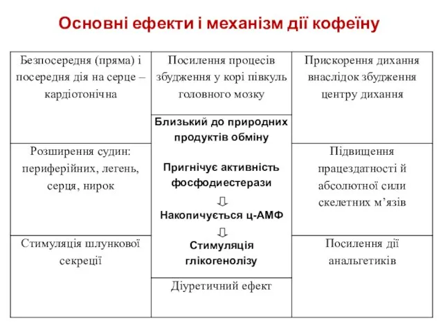 Основні ефекти і механізм дії кофеїну