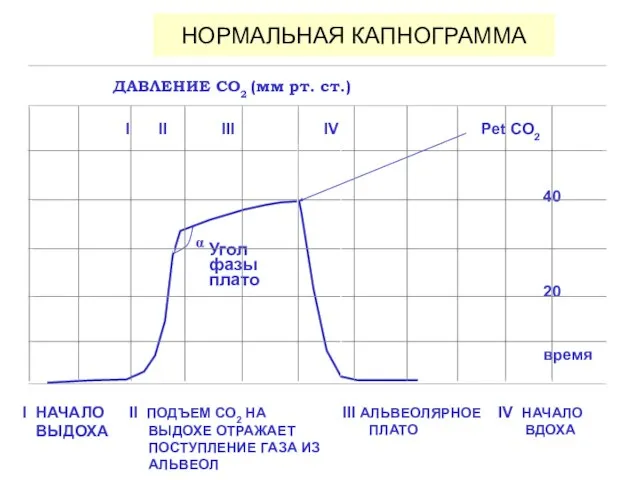 НОРМАЛЬНАЯ КАПНОГРАММА I НАЧАЛО ВЫДОХА II ПОДЪЕМ СО2 НА ВЫДОХЕ ОТРАЖАЕТ