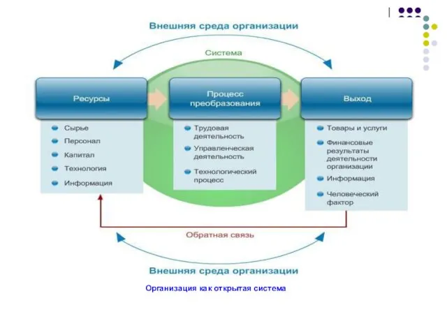 Организация как открытая система