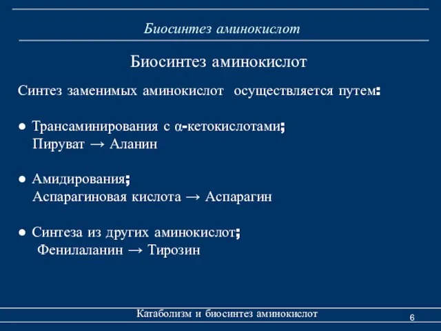 Биосинтез аминокислот Катаболизм и биосинтез аминокислот Синтез заменимых аминокислот осуществляется путем: