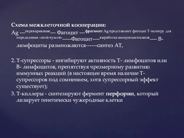 Схема межклеточной кооперации: Ag ---переваривание--- Фагоцит ---фрагмент Ag представляет фагоцит Т-хелперу