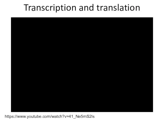 Transcription and translation https://www.youtube.com/watch?v=41_Ne5mS2ls