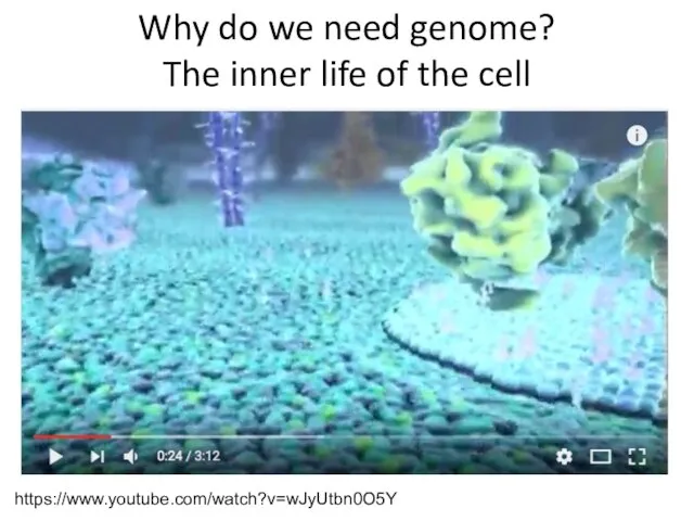 Why do we need genome? The inner life of the cell https://www.youtube.com/watch?v=wJyUtbn0O5Y