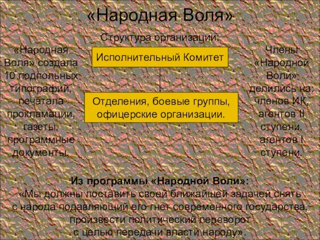 «Народная Воля» Структура организации: Исполнительный Комитет Отделения, боевые группы, офицерские организации.