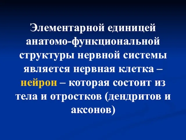 Элементарной единицей анатомо-функциональной структуры нервной системы является нервная клетка –нейрон –