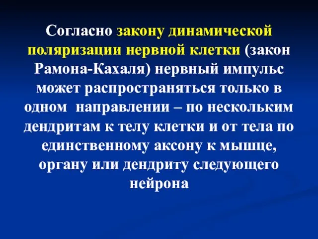 Согласно закону динамической поляризации нервной клетки (закон Рамона-Кахаля) нервный импульс может