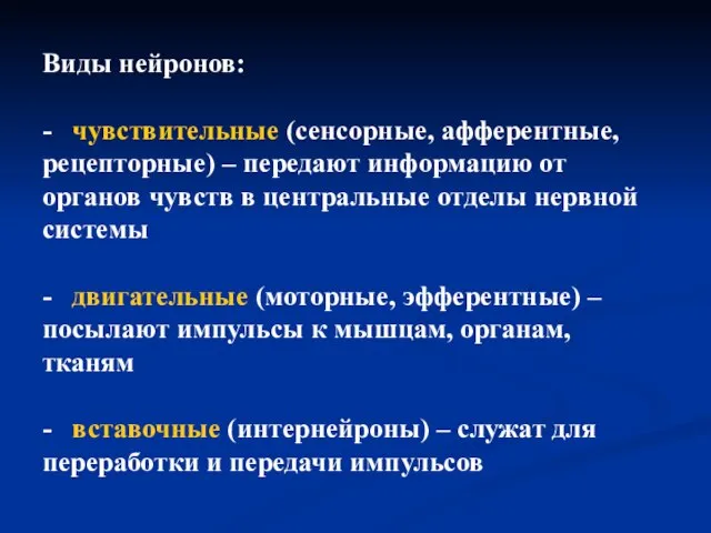 Виды нейронов: - чувствительные (сенсорные, афферентные, рецепторные) – передают информацию от