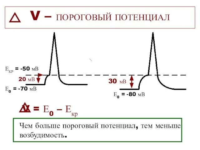 ЕКР = -50 мВ Е0 = -70 мВ V = Е0