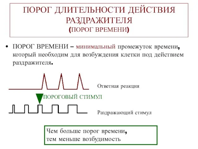 ПОРОГ ДЛИТЕЛЬНОСТИ ДЕЙСТВИЯ РАЗДРАЖИТЕЛЯ (ПОРОГ ВРЕМЕНИ) ПОРОГ ВРЕМЕНИ – минимальный промежуток