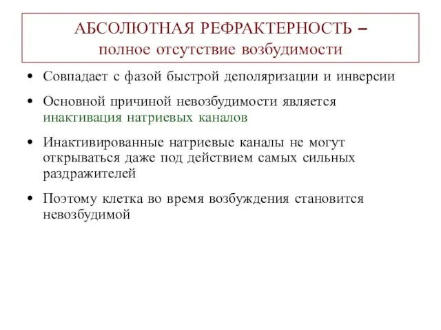 АБСОЛЮТНАЯ РЕФРАКТЕРНОСТЬ – полное отсутствие возбудимости Совпадает с фазой быстрой деполяризации