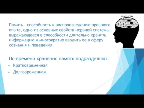 Память - способность к воспроизведению прошлого опыта, одно из основных свойств