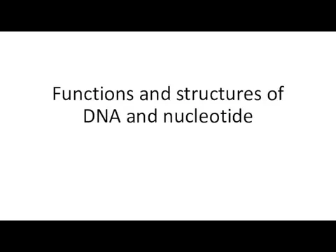 Functions and structures of DNA and nucleotide
