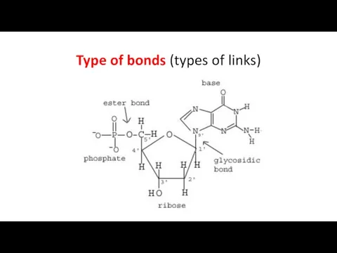 Type of bonds (types of links)