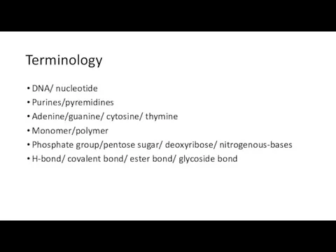 Terminology DNA/ nucleotide Purines/pyremidines Adenine/guanine/ cytosine/ thymine Monomer/polymer Phosphate group/pentose sugar/