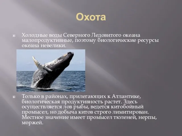 Охота Холодные воды Северного Ледовитого океана малопродуктивные, поэтому биологические ресурсы океана