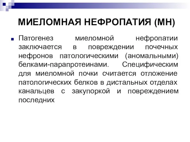 МИЕЛОМНАЯ НЕФРОПАТИЯ (МН) Патогенез миеломной нефропатии заключается в повреждении почечных нефронов