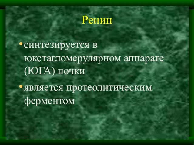 Ренин синтезируется в юкстагломерулярном аппарате (ЮГА) почки является протеолитическим ферментом