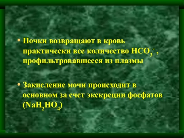 Почки возвращают в кровь практически все количество НСО3- ,профильтровавшееся из плазмы